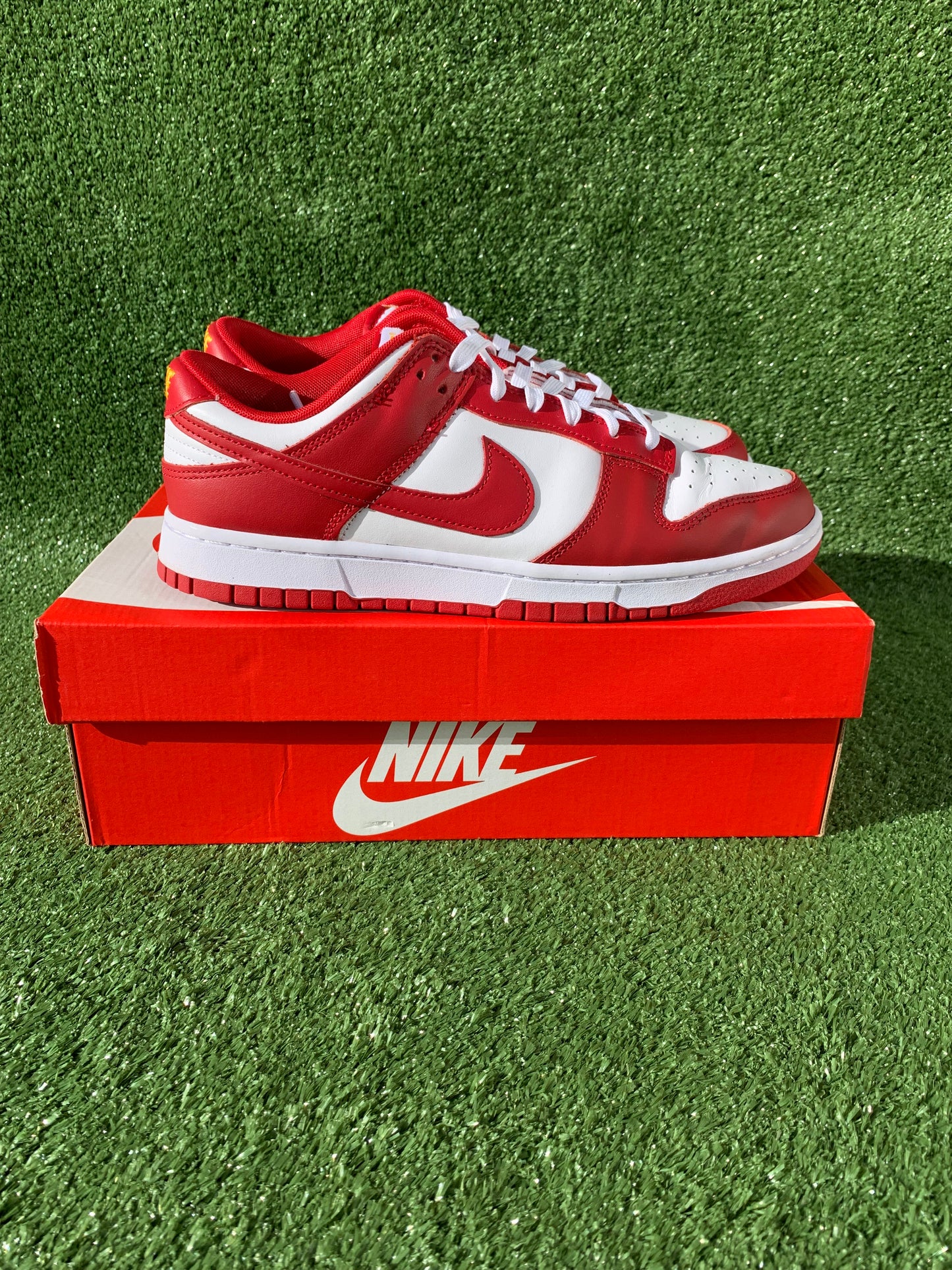 Nike Dunk Low Gym Red [US9 - USED]